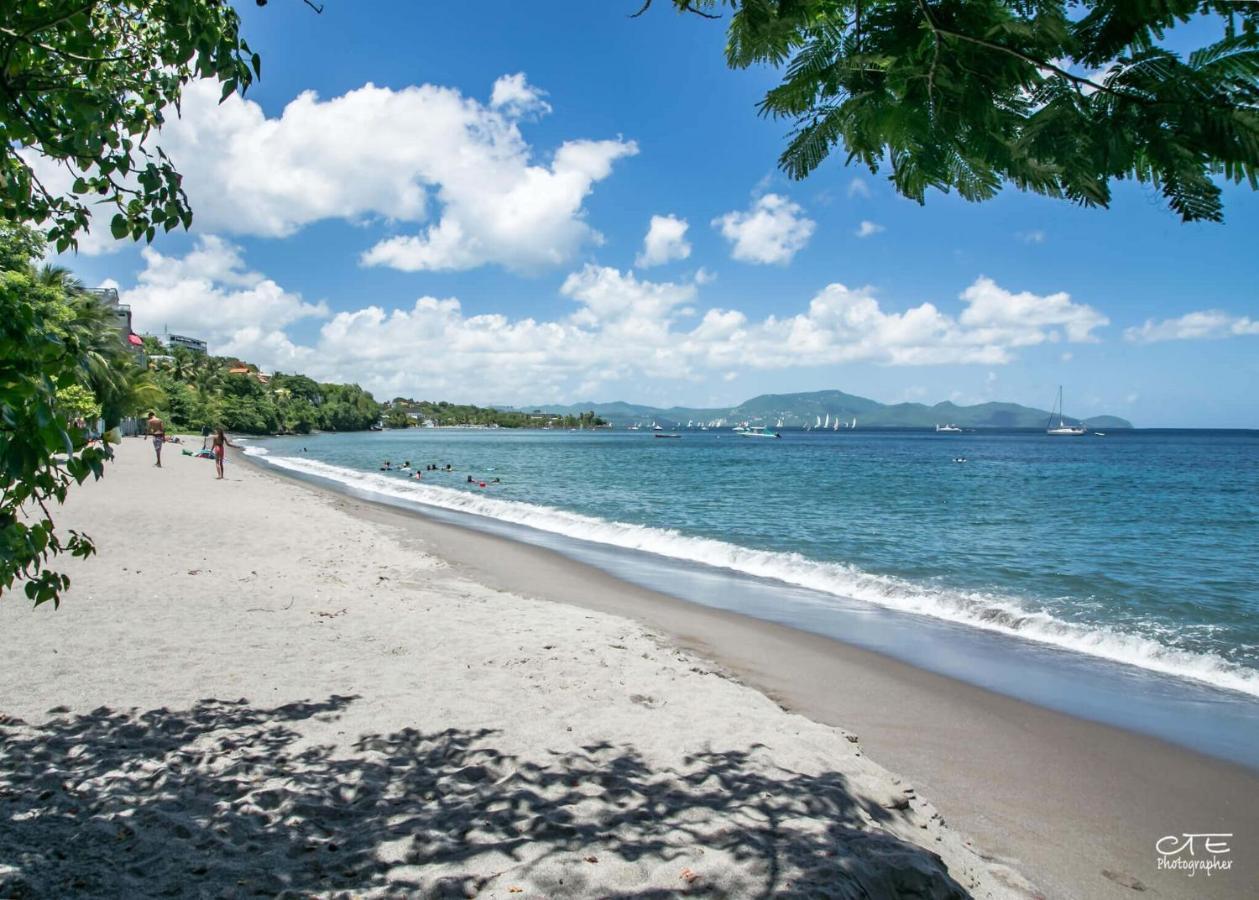 Colibri Apartment ฟอร์-เดอ-ฟร็องส์ ภายนอก รูปภาพ